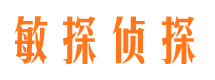 江都市侦探调查公司